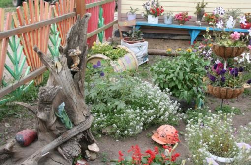 Парабель - в цвету. Лето. 2012 год.